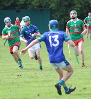Bitter Disappointment for Minor Hurlers in MHL2