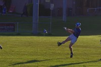 Hurlers go down to Vincents