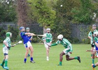 U13 hurlers lose to strong Erin go Bragh