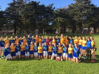 U15 girls Div 1 Shield Final v na Fianna