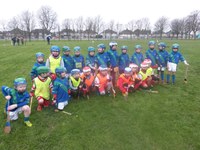 U8s hurling at Whitehall and O'Tooles